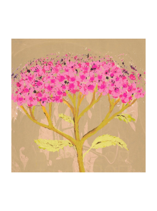 Spirea Japonica (Giclée Print)