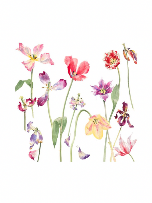 Tulips (Giclée Print)