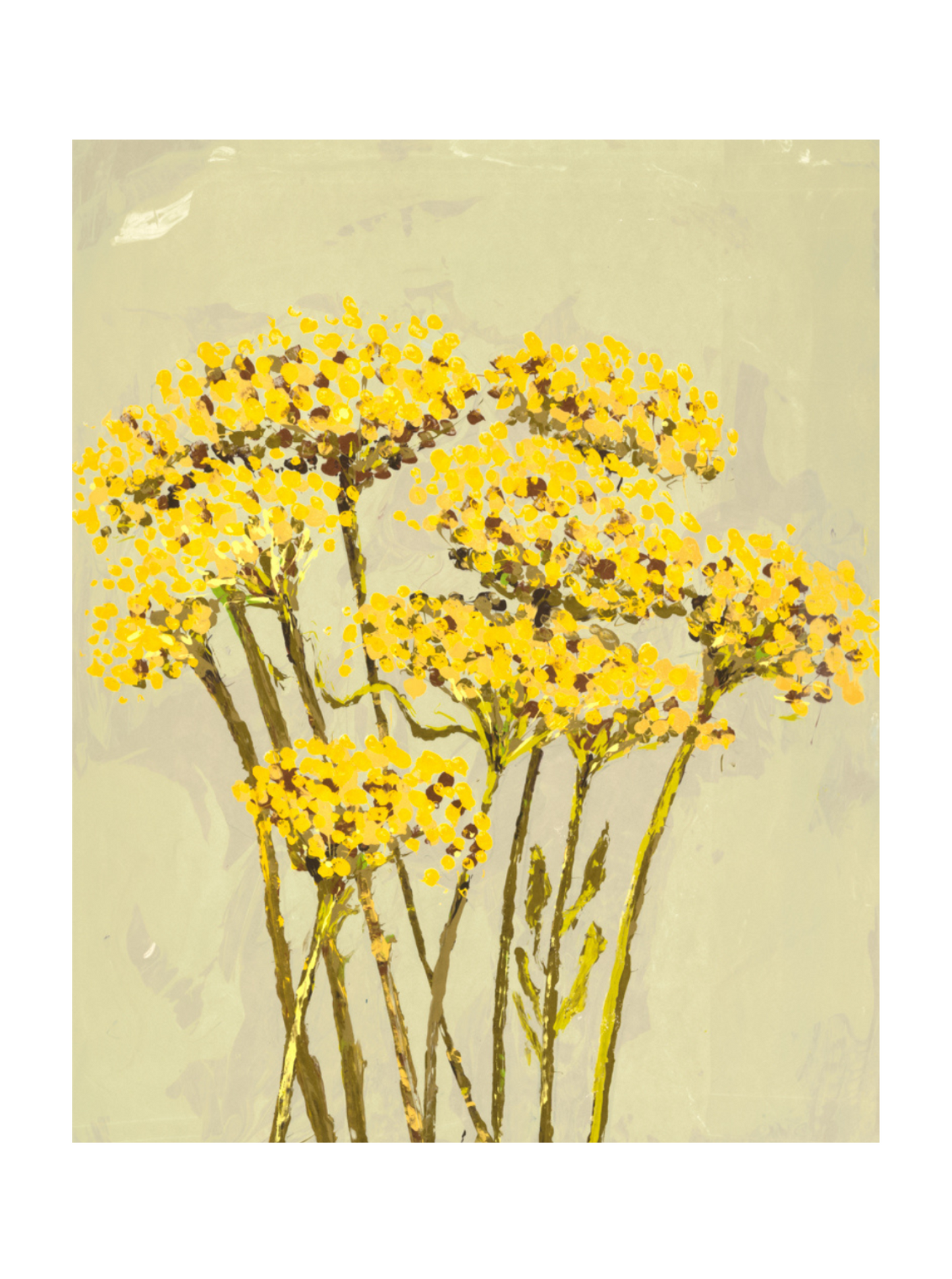 Achillea (Giclée Print)