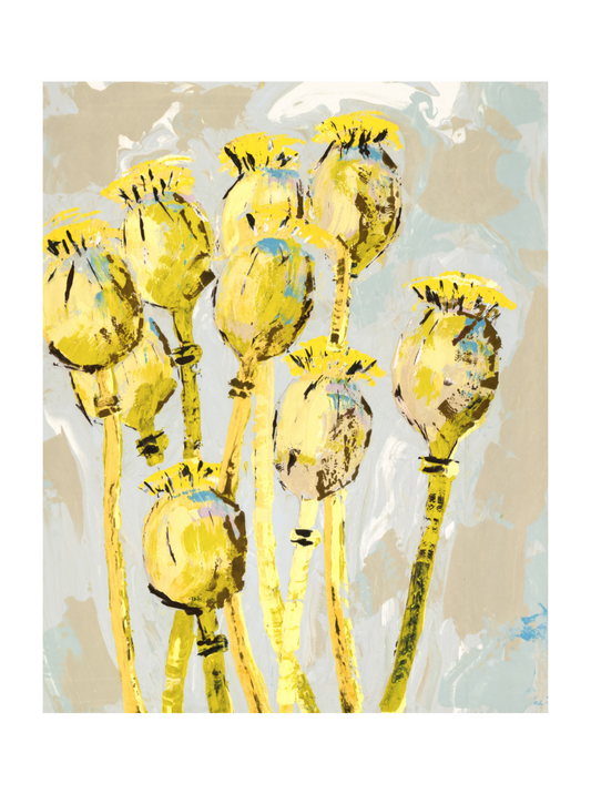 Poppy Seed Heads (Giclée Print)