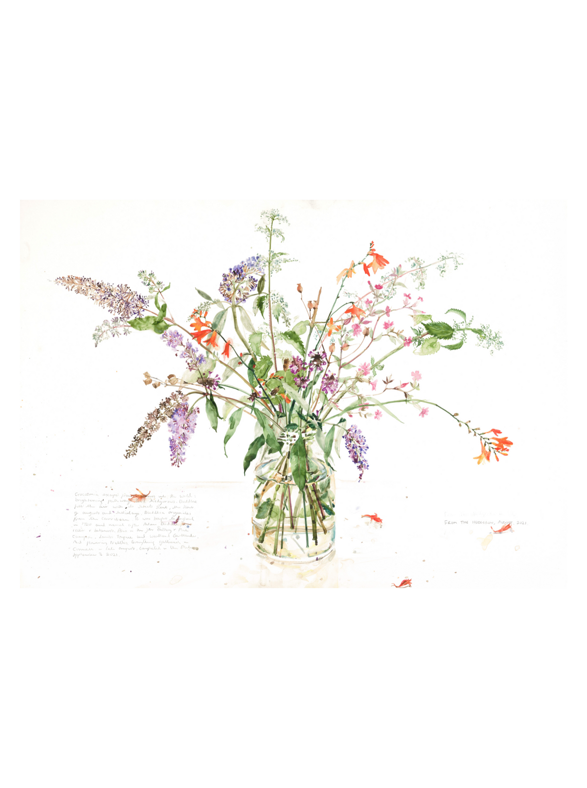From the Hedgerow