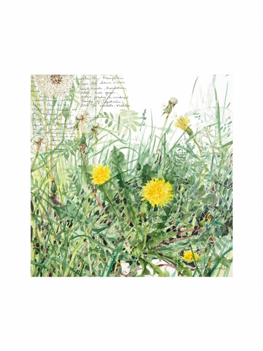 Under The Trampoline (Giclée Print)