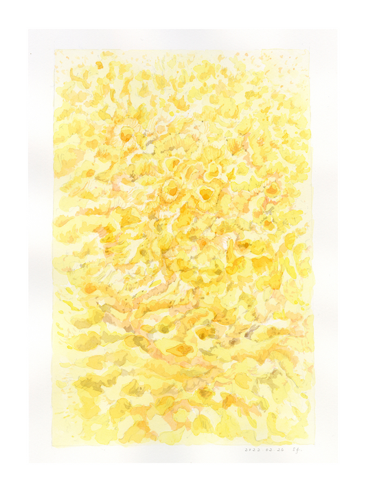 Sea Level Rise 02 - Sea Sponge