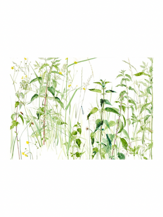 Sitting Amongst The Nettles (Giclée Print)