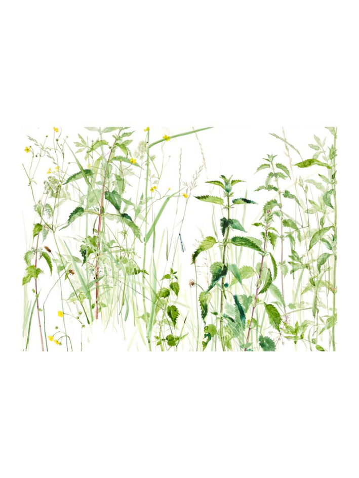 Sitting Amongst The Nettles