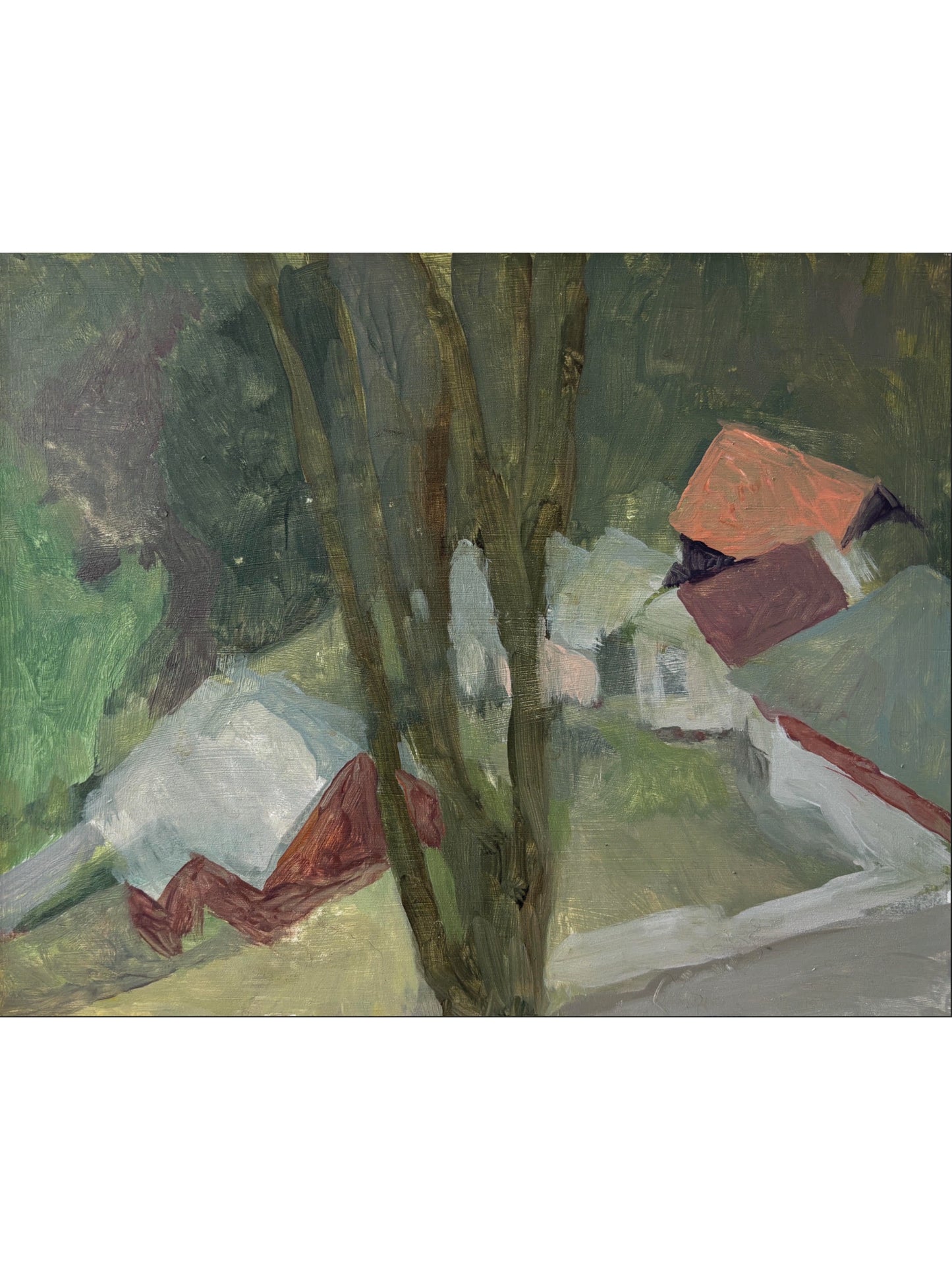 Alpine Valley in Spring