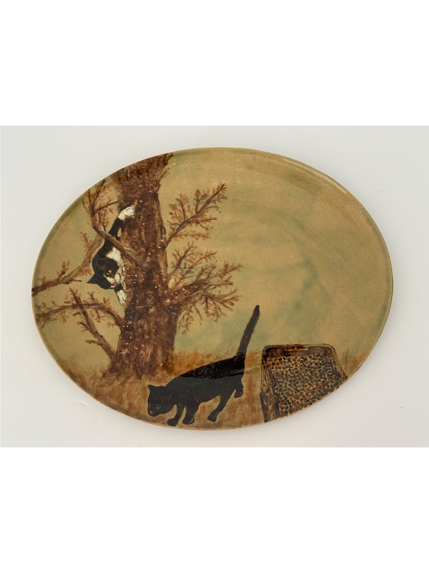 Autumn cats (Olivia helping with the olive harvest)