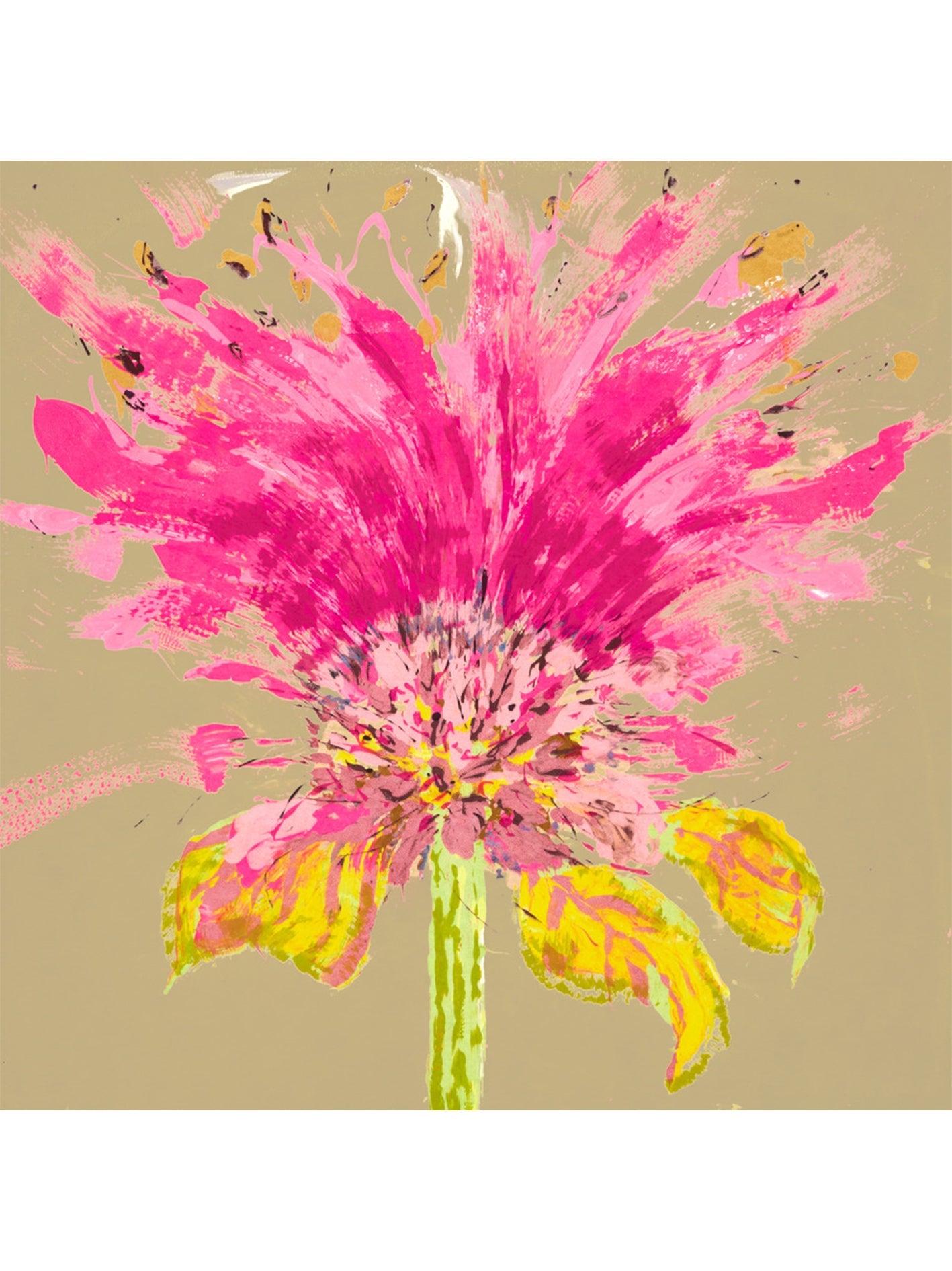 Bee Balm 1