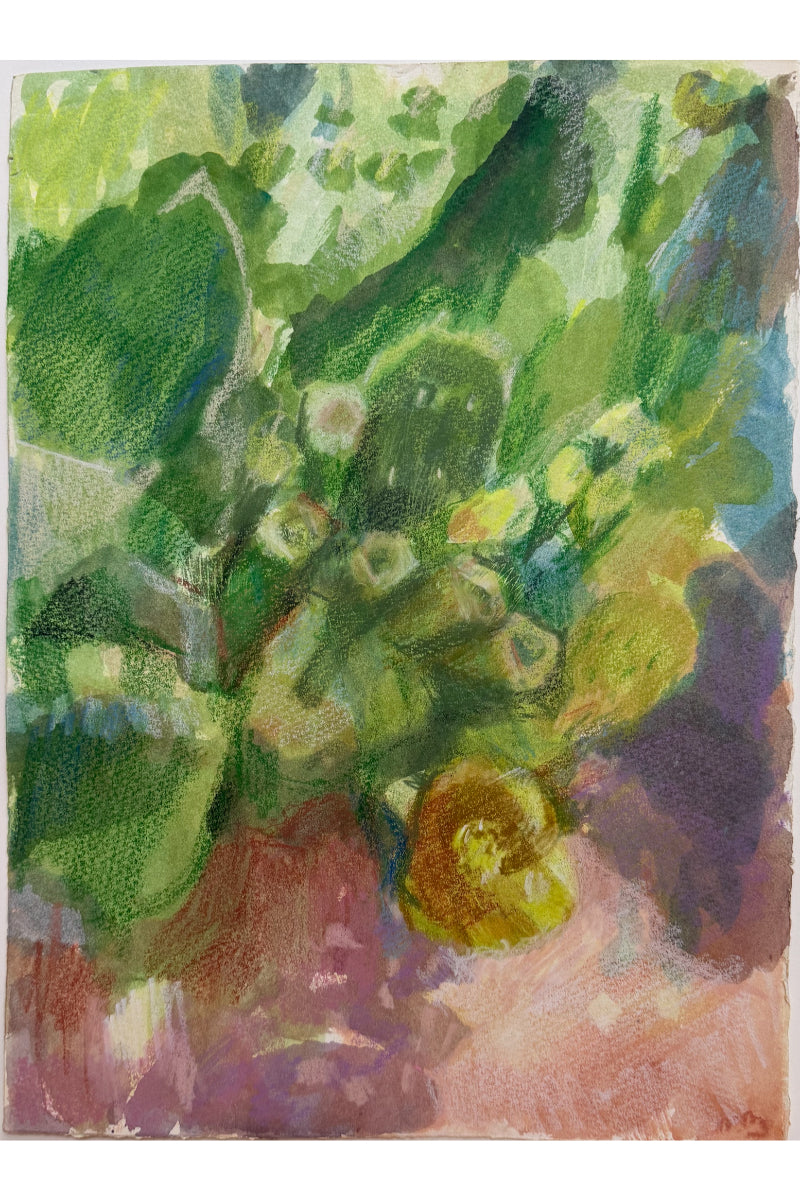 Lipari Cactus