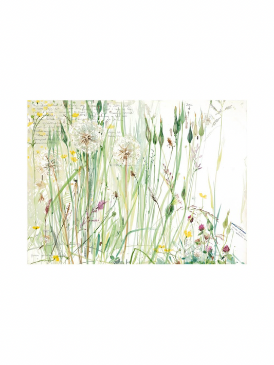 The Day The Dog Stole My Trousers (Giclée Print)