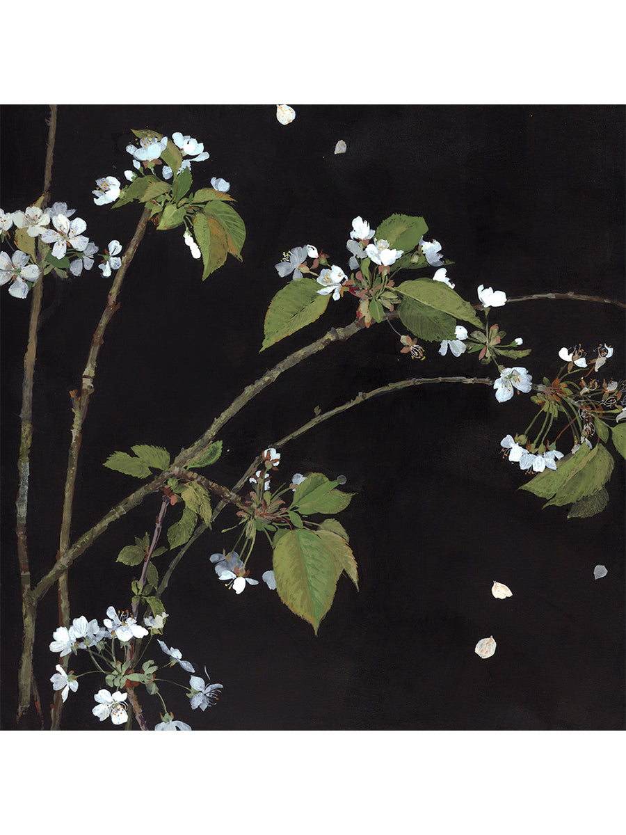 Winter to Spring, Blossom (Giclée Print)