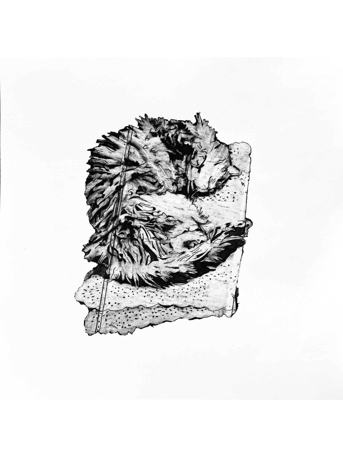 Forty Winks
