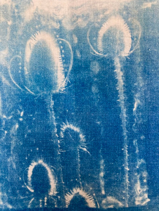 Teasels (Detail)