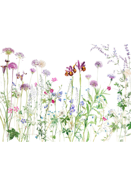 June Garden (Giclée Print)