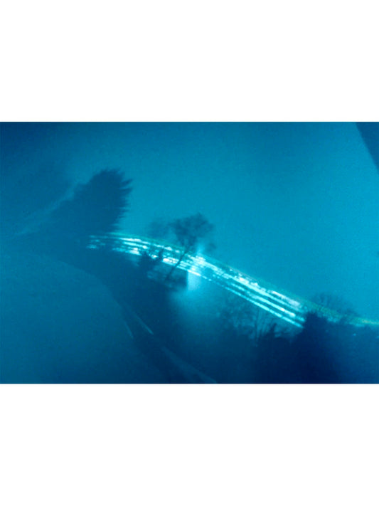 Duration Series: From the Garden (Giclée Print)