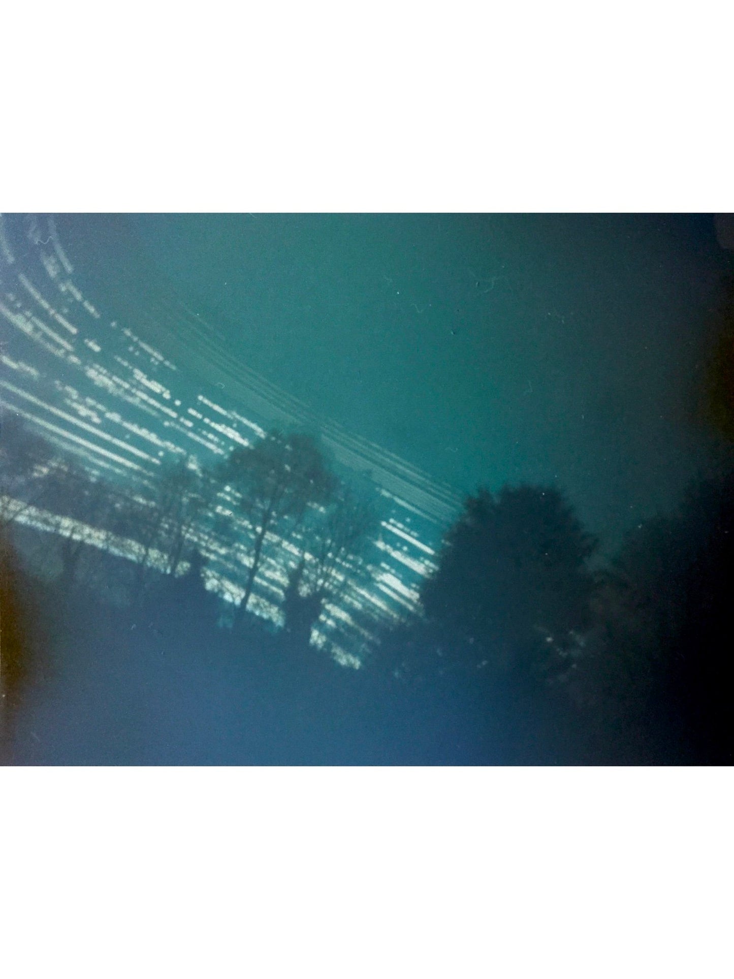 Duration Series: Four Months in the Garden