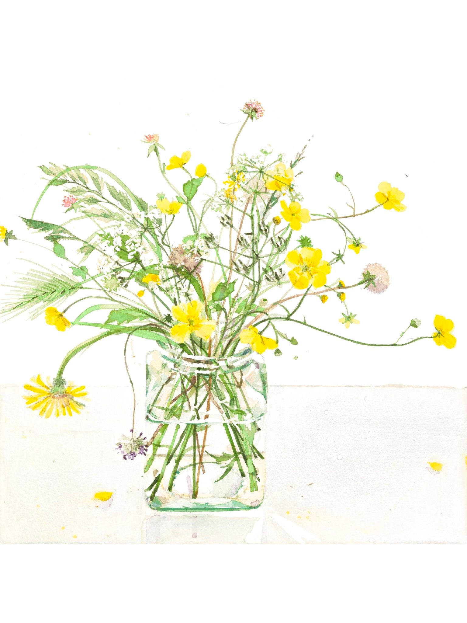 Buttercups and Cow Parsley