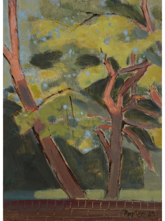 Over the Garden Wall. Evening Light. Canonbury, Islington