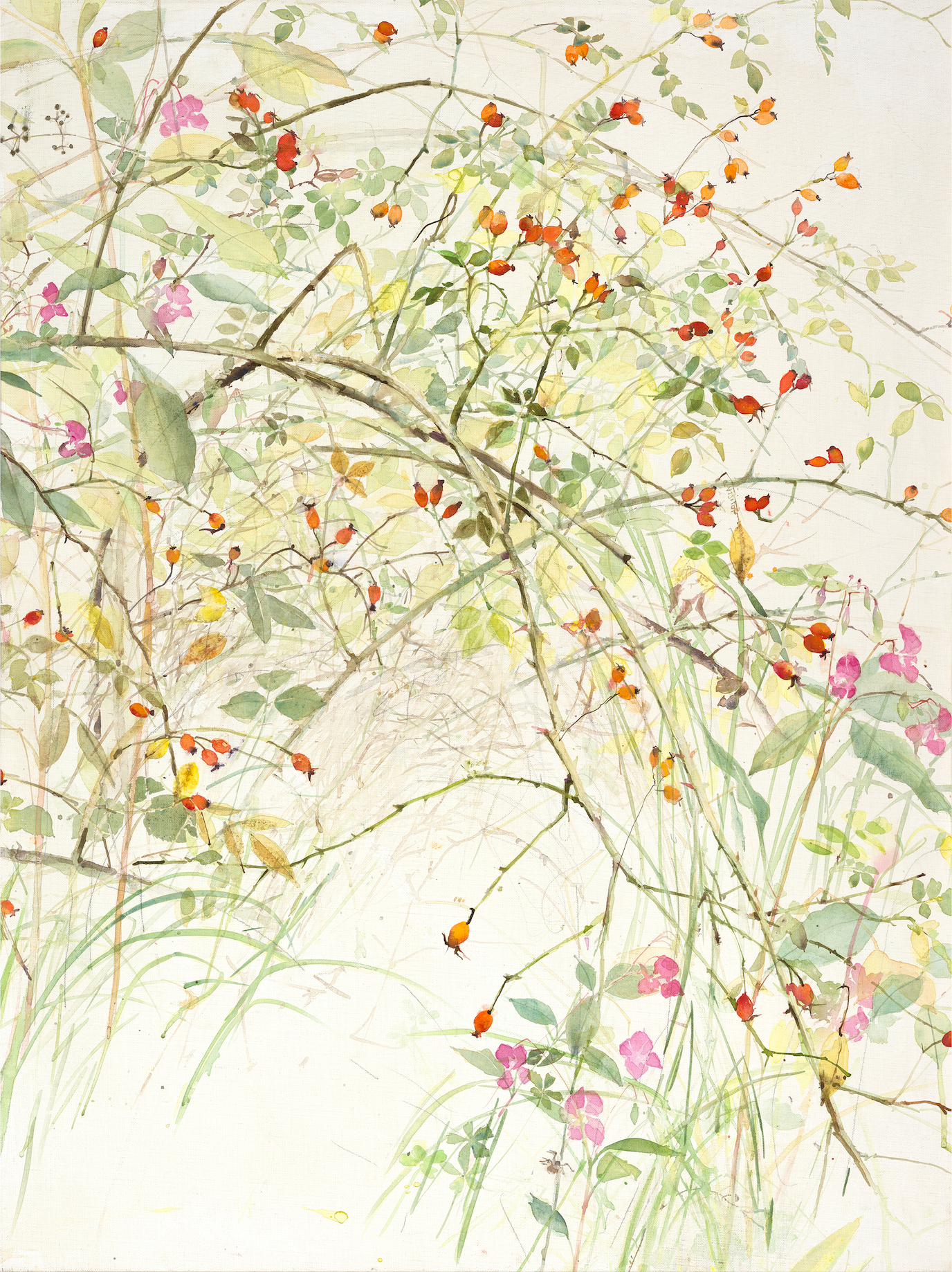 Rosehips and Hymalayn Jewel
