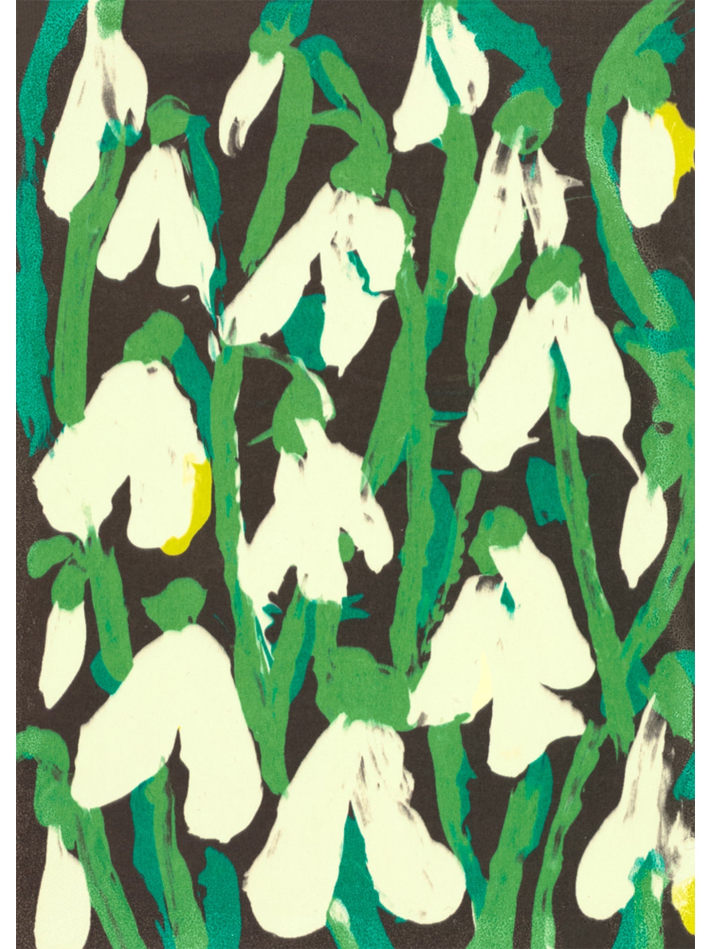 Snowdrops 2