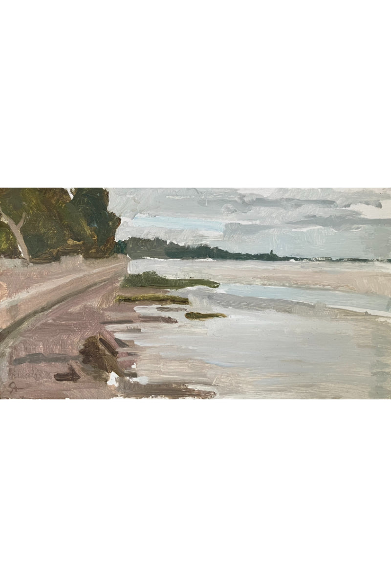 Silver Mudflats
