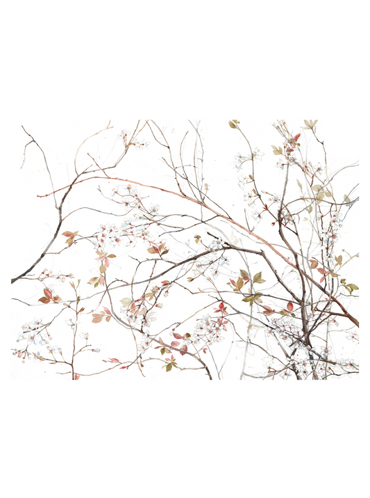Plum Blossom (Giclée Print)