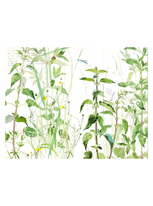 Nettles On The Riverbank (Giclée Print)