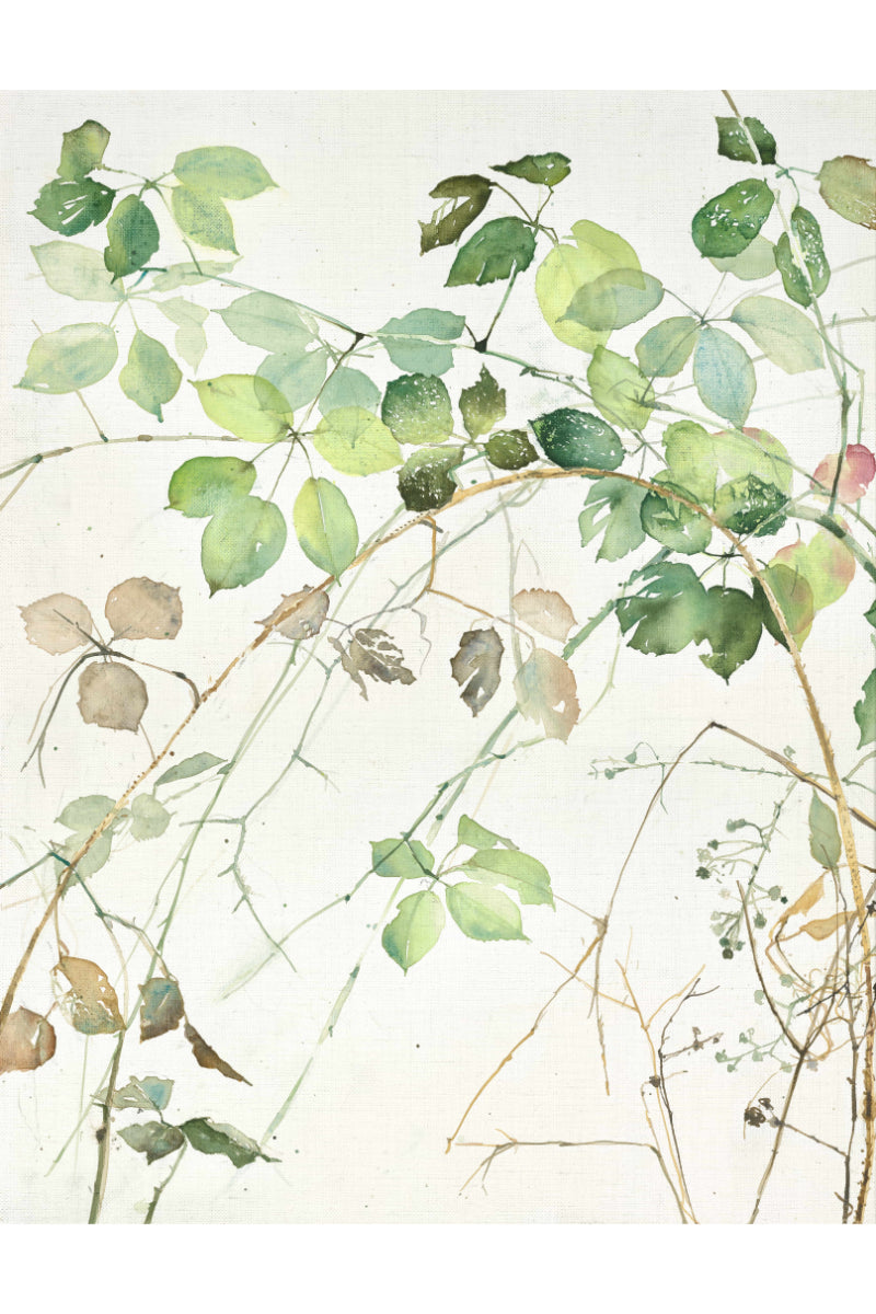 Winter Brambles II