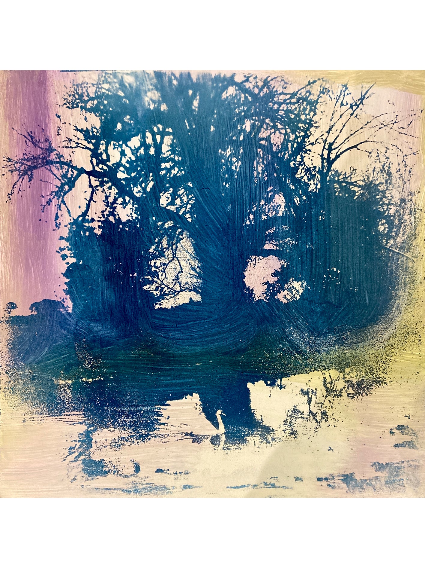 Chaos Series: As Calm as a Swan
