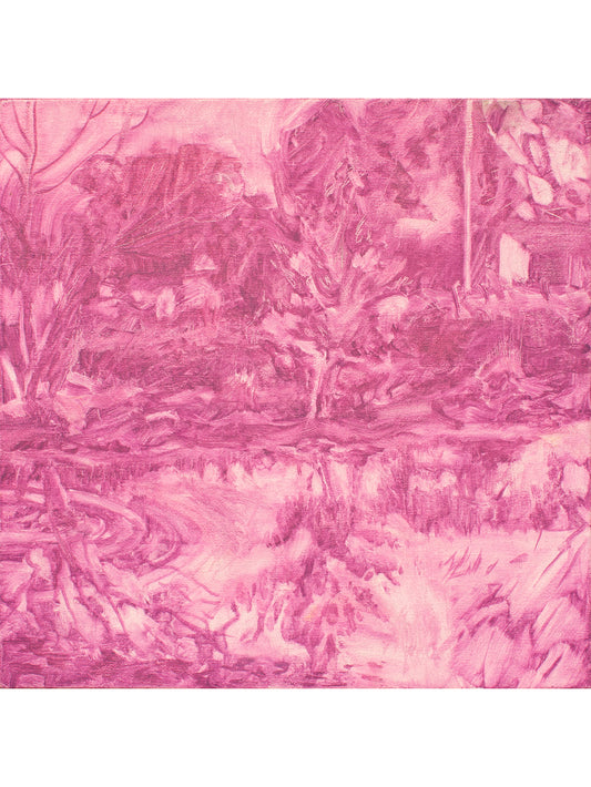 Amethyst, Big Puddle