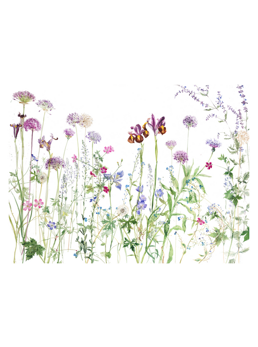 June Garden
