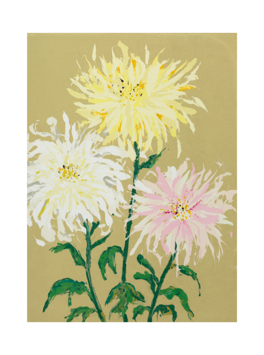 Chrysanthemum 2