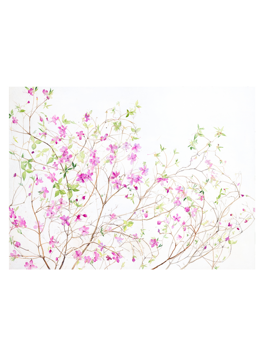 A Tangle of Azaleas