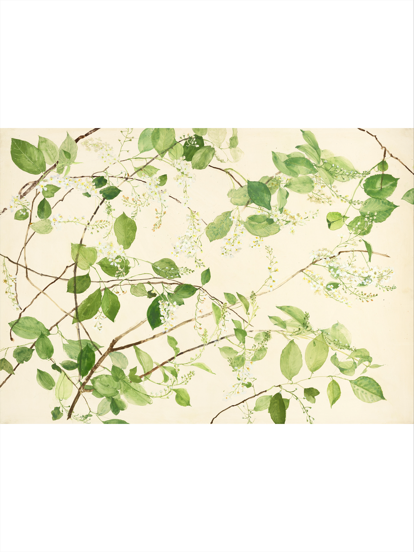 Bird blossom II