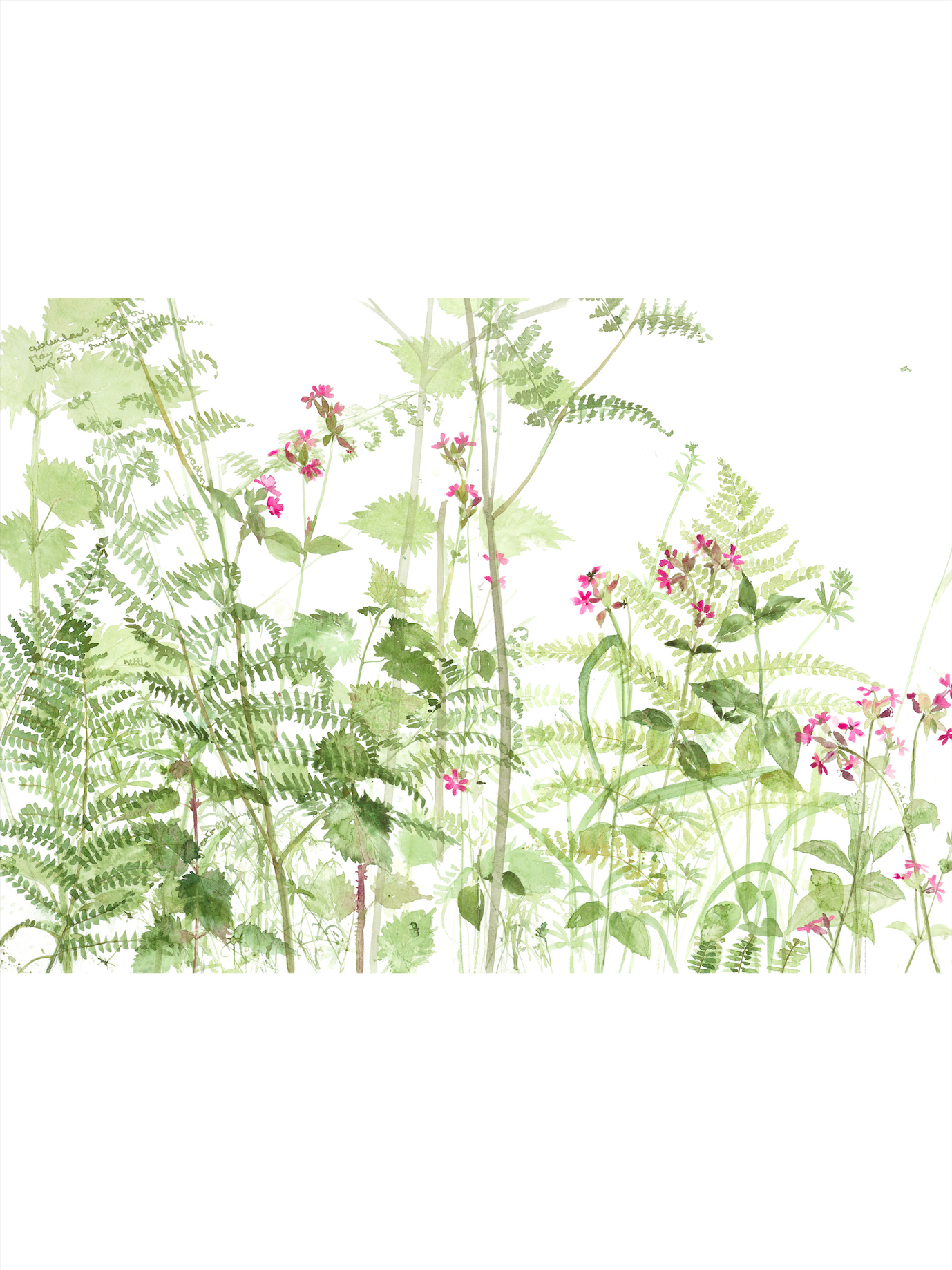 Birdsong