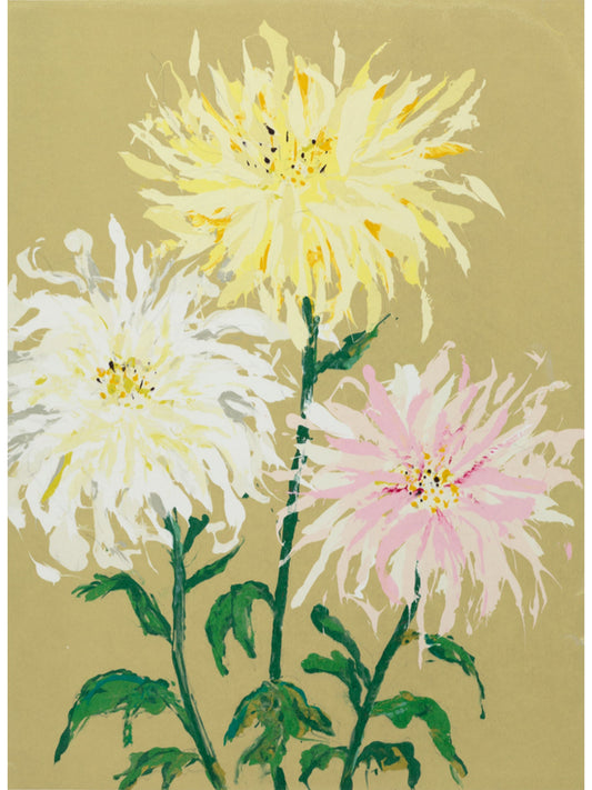 Chrysanthemum 2
