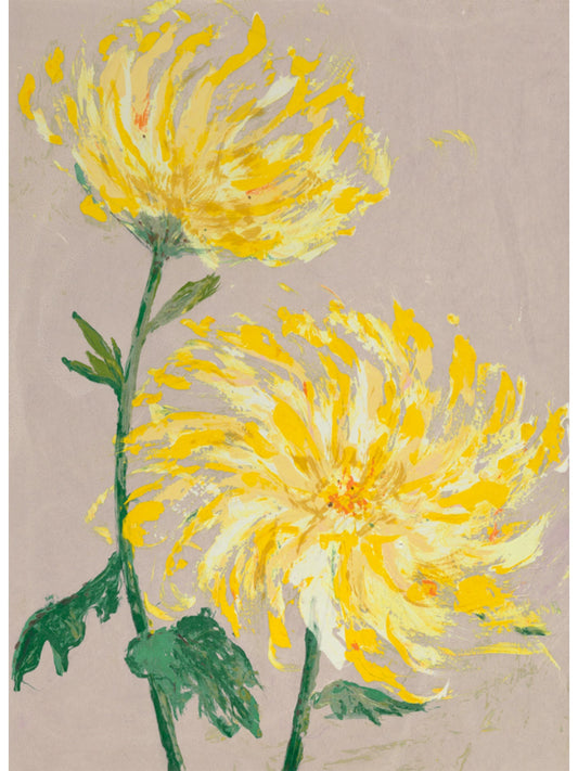 Chrysanthemum 3