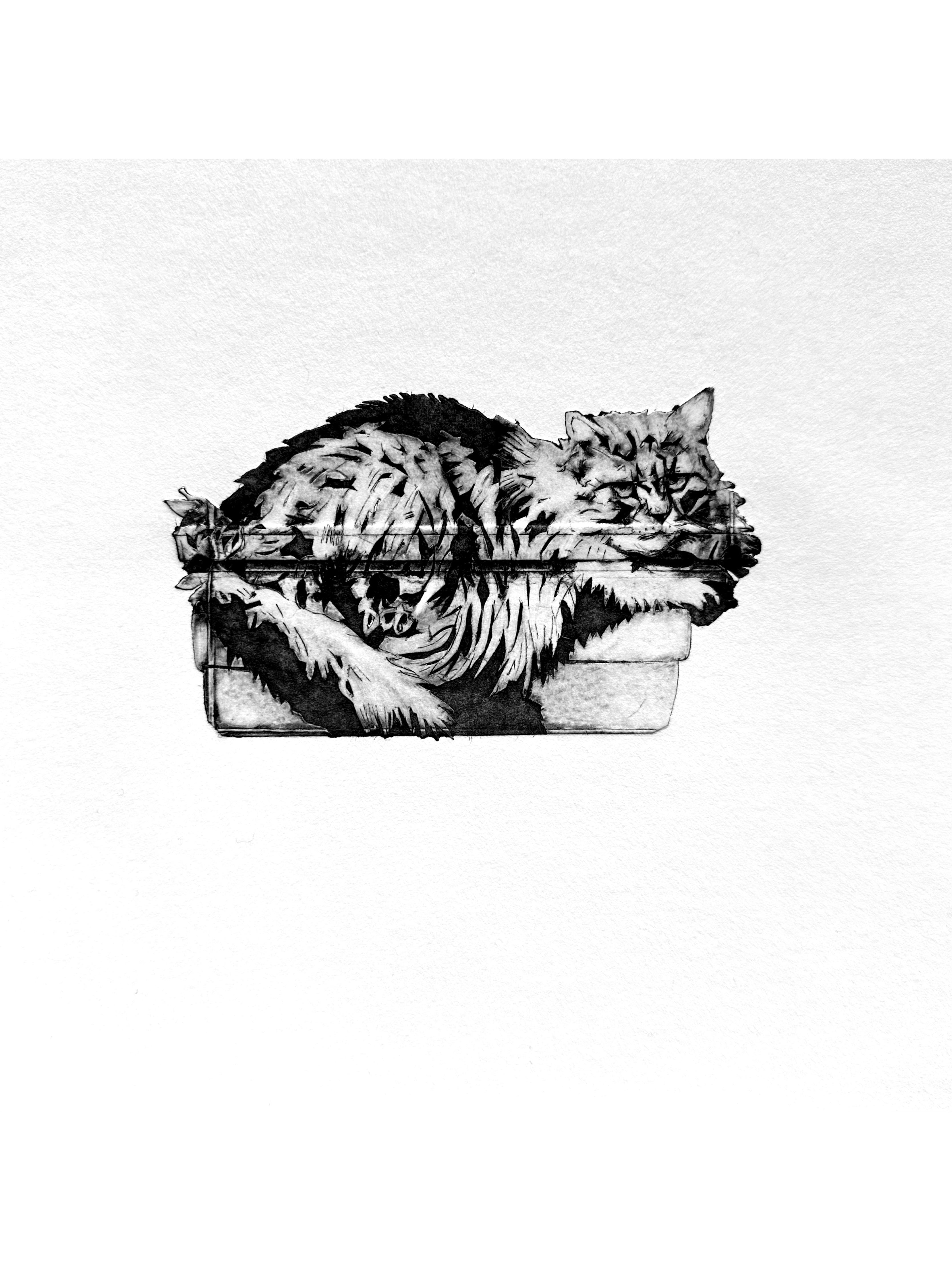 Cat-in-a-pot