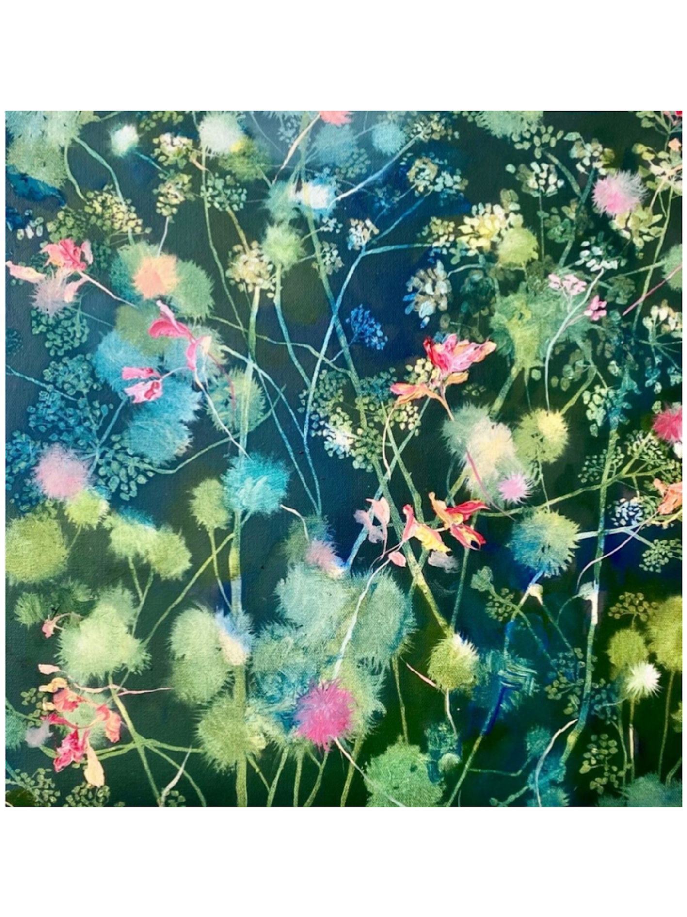 Hemp agrimony at night