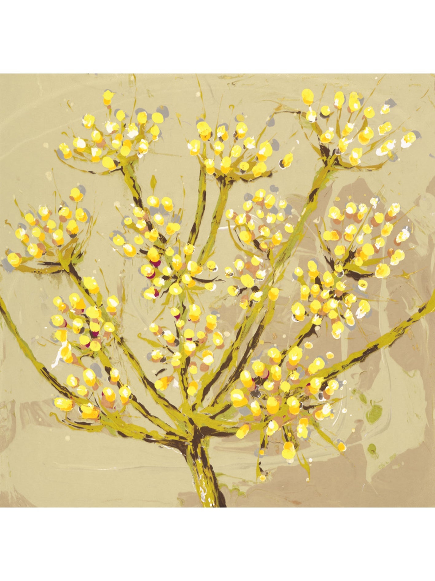 Dill 1