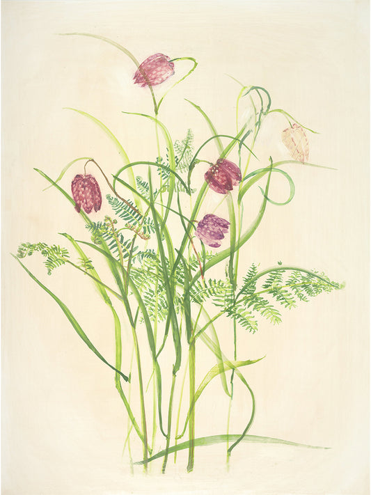 Spring Study, Fritillary (Giclée Print)