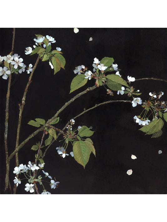 Winter to Spring, Blossom (Giclée Print)