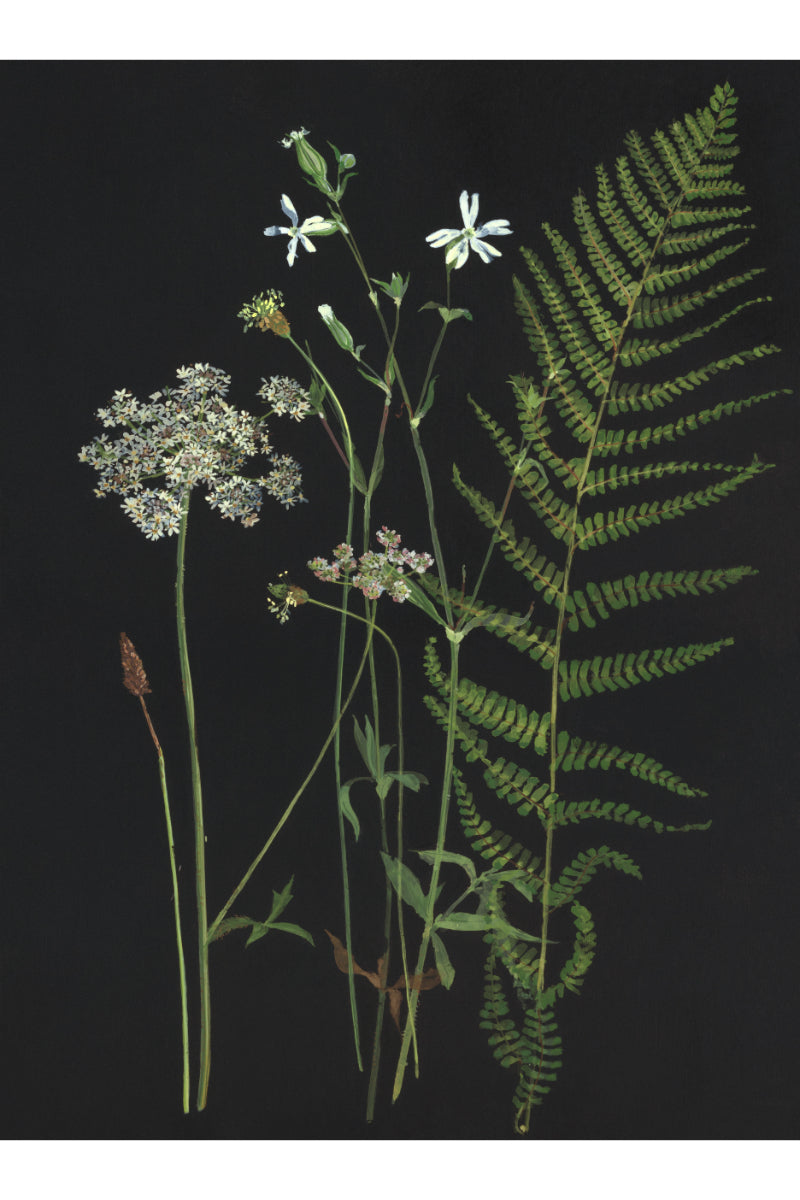 Hogweed and Fern