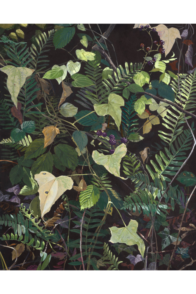 Ferns and Bindweed