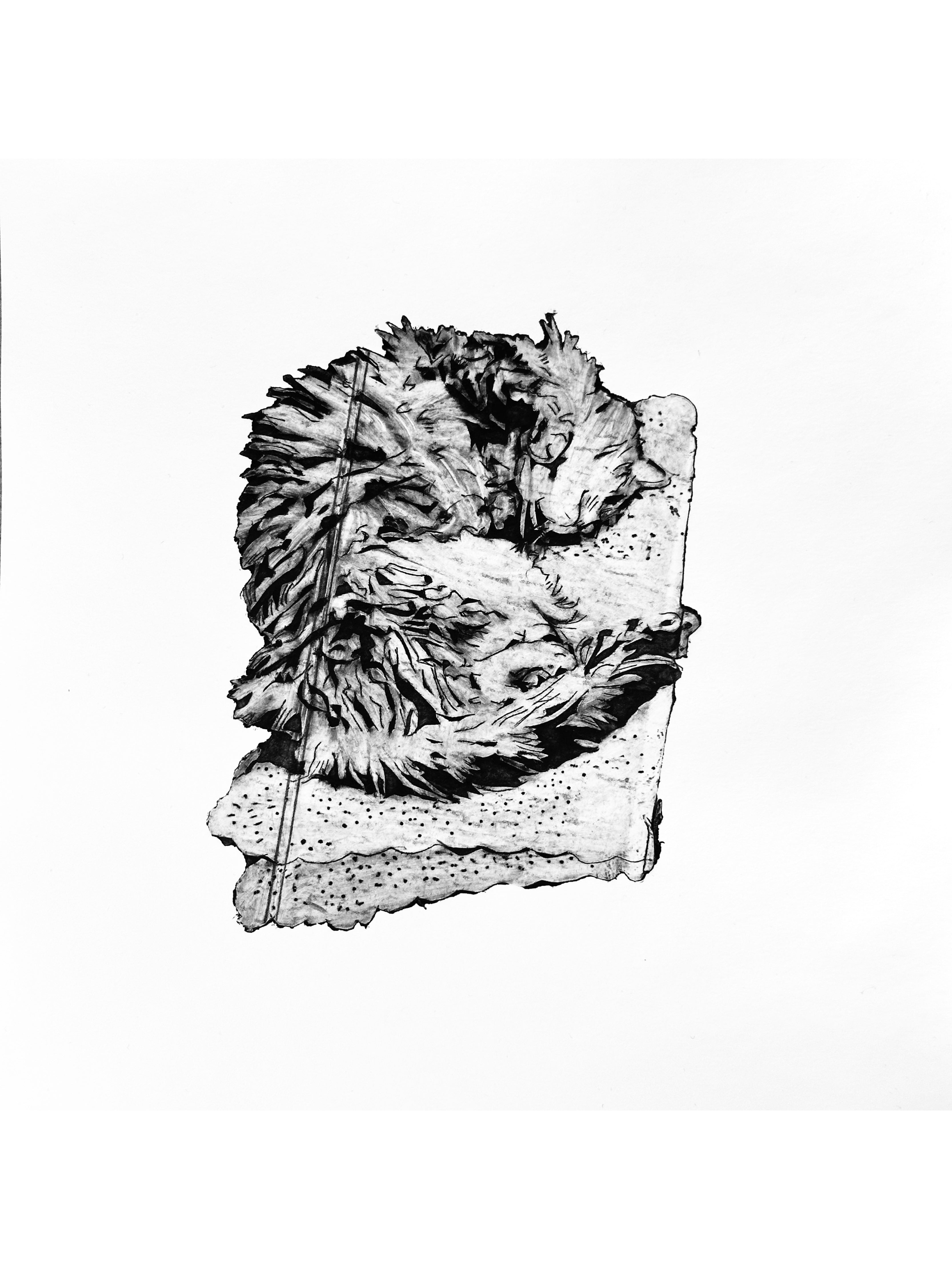 Forty Winks
