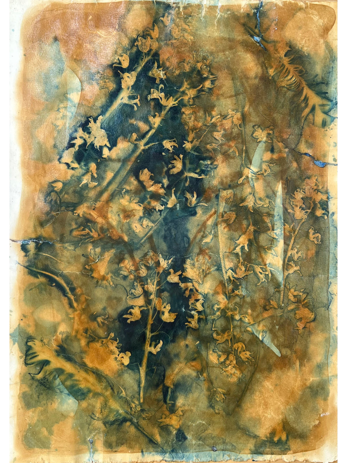 Fragility