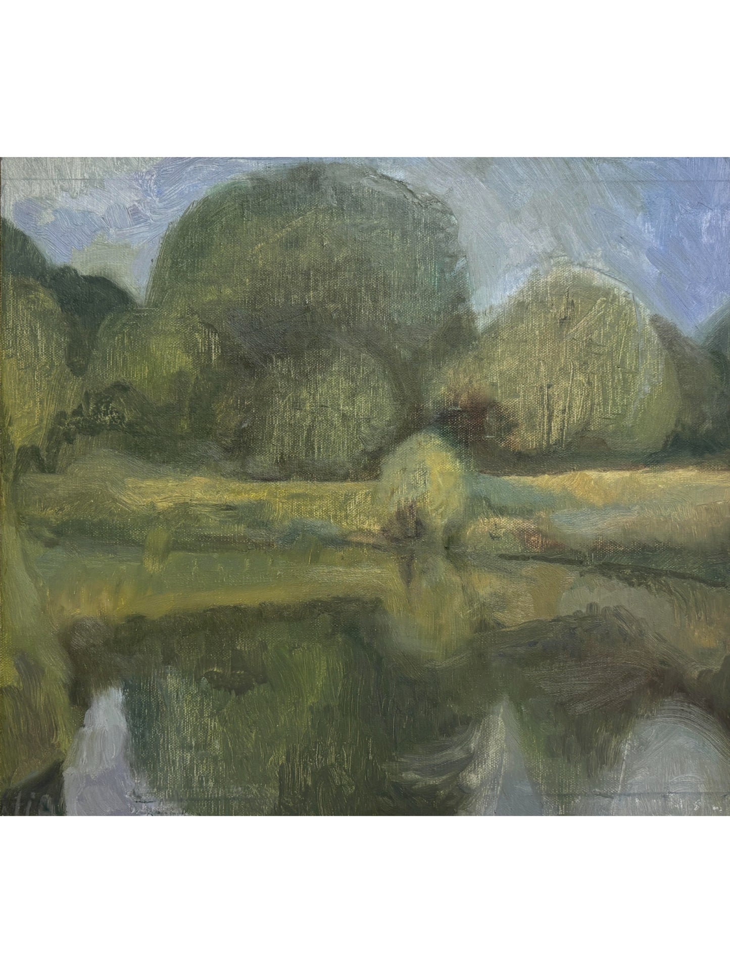 Pond, Hampstead Heath