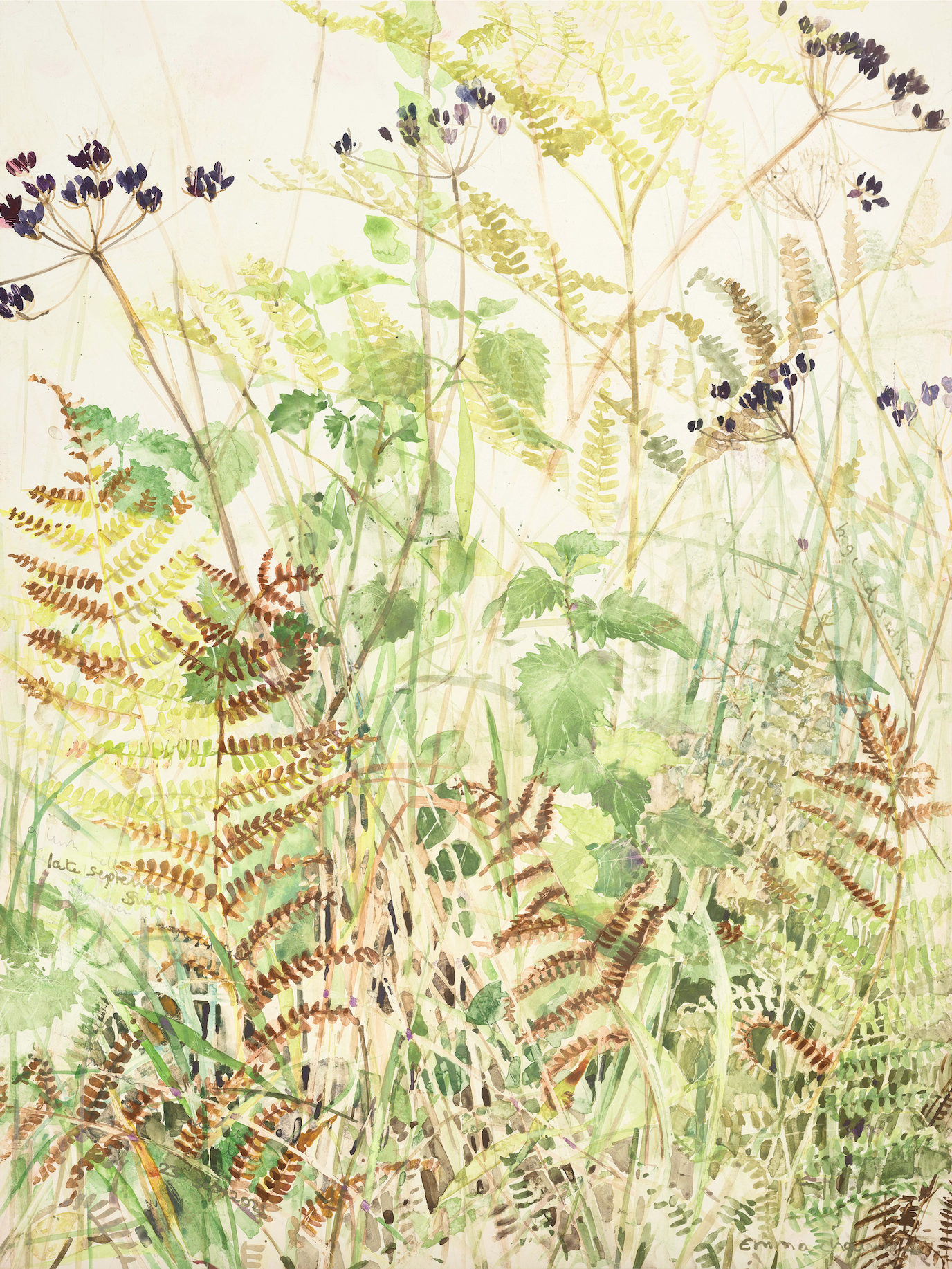 Hedgerow Jungle