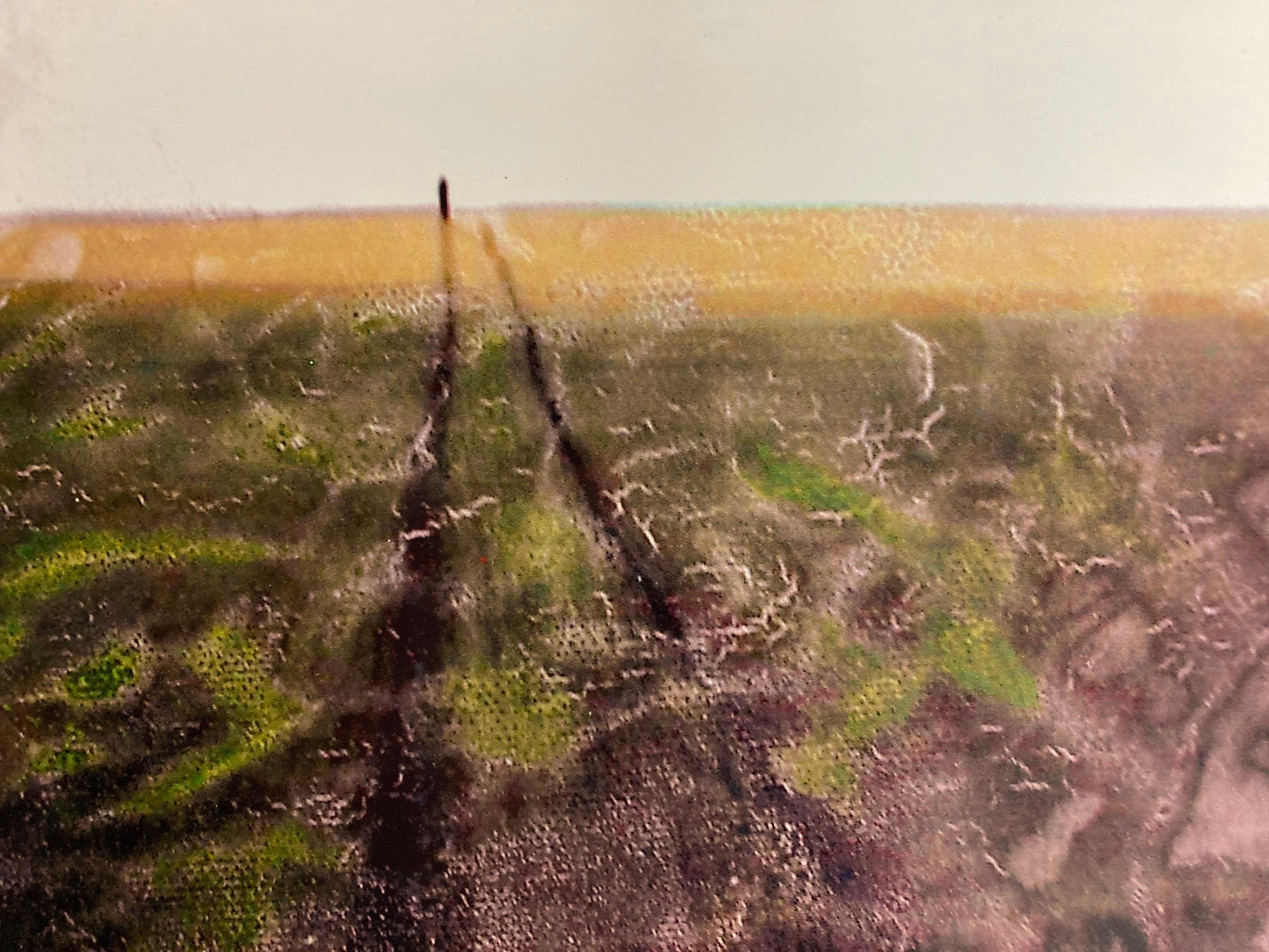 Boy in Fen