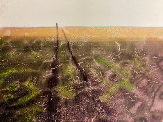 Boy in Fen